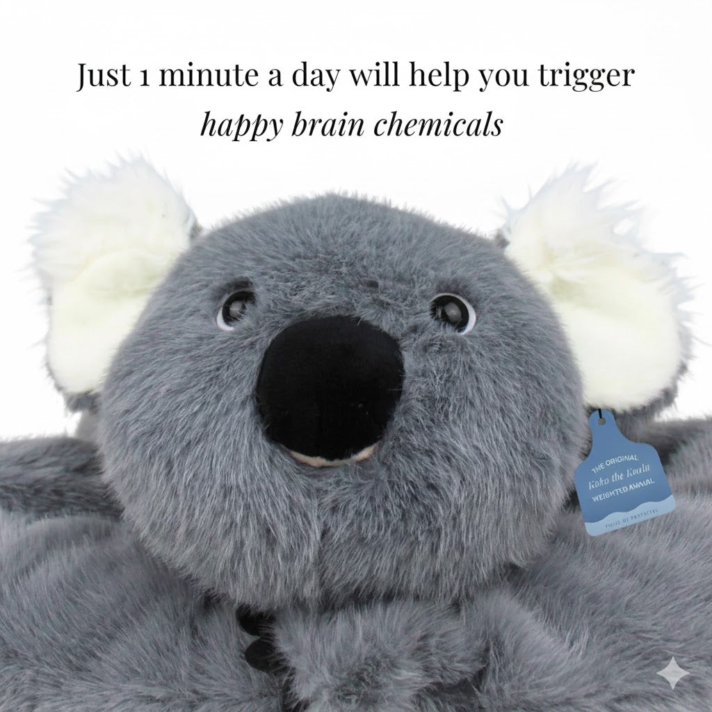Calm Weighted Koala™