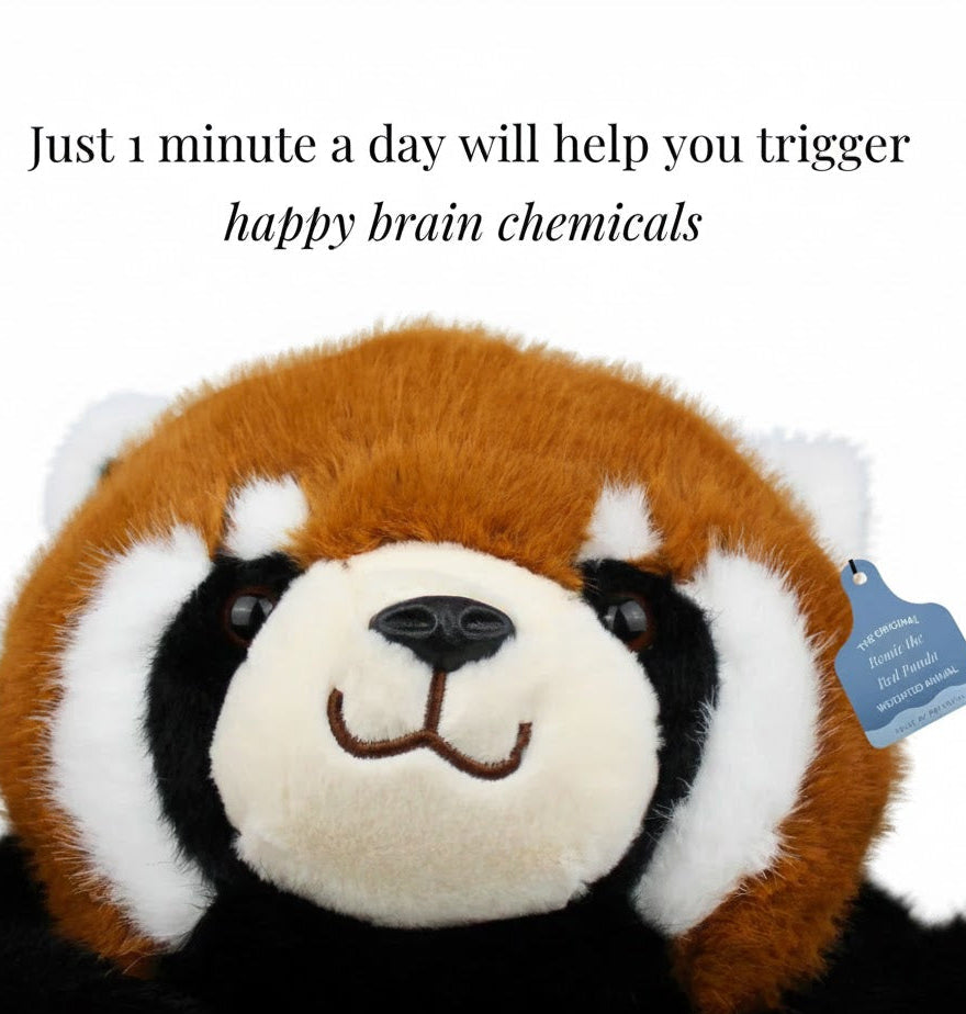 Calm Weighted Red Panda™